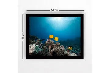 Inramad Canvastavla i trä - 41x56 cm - Färgglada fiskar simmande bland korallrev - Gul / Blå / Grå - Inredning - Tavlor & posters - Canvastavla