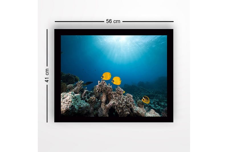 Inramad Canvastavla i trä - 41x56 cm - Färgglada fiskar simmande bland korallrev - Gul / Blå / Grå - Inredning - Tavlor & posters - Canvastavla