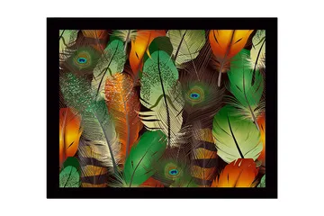 Inramad Canvastavla i trä - 41x56 cm - Färgglada fjädrar i en livlig komposition - Grön / Orange / Gul - Inredning - Tavlor & posters - Canvastavla