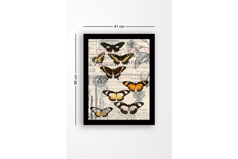 Inramad Canvastavla i trä - 41x56 cm - Färgglada fjärilar på en vintage-inspirerad bakgrund - Svart / Brun / Orange - Inredning - Tavlor & posters - Canvastavla