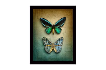 Inramad Canvastavla i trä - 41x56 cm - Färgglada fjärilar på en texturerad bakgrund - Grön / Blå / Beige - Inredning - Tavlor & posters - Canvastavla