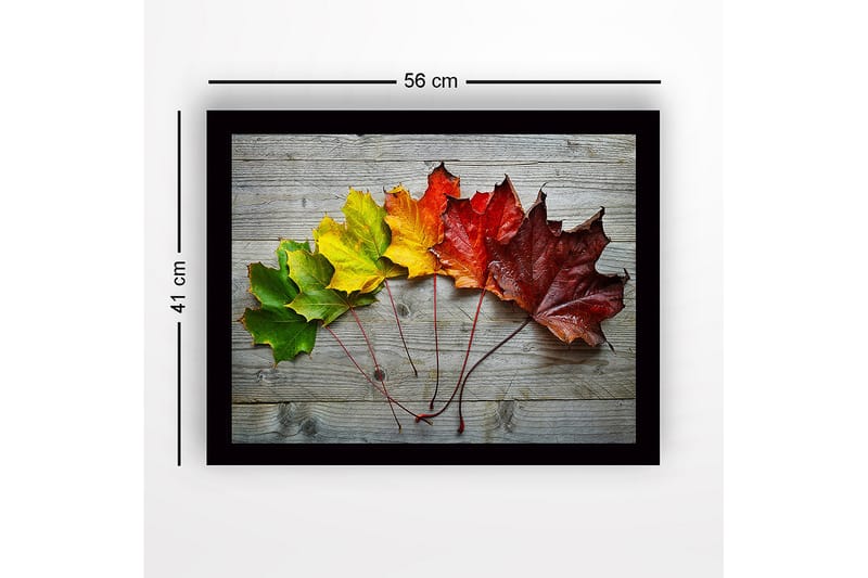 Inramad Canvastavla i trä - 41x56 cm - Färgglada höstlöv i en rad - Grön / Gul / Röd - Inredning - Tavlor & posters - Canvastavla