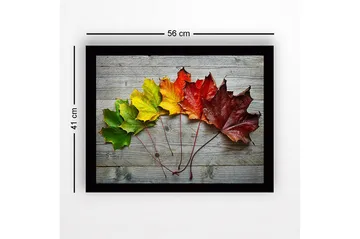 Inramad Canvastavla i trä - 41x56 cm - Färgglada höstlöv i en rad - Grön / Gul / Röd - Inredning - Tavlor & posters - Canvastavla
