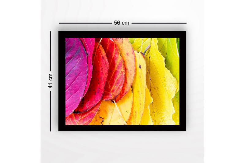 Inramad Canvastavla i trä - 41x56 cm - Färgglada höstlöv i olika nyanser - Rosa / Röd / Gul - Inredning - Tavlor & posters - Canvastavla