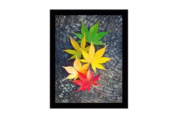 Inramad Canvastavla i trä - 41x56 cm - Färgglada höstlöv på en träyta - Grön / Gul / Röd - Inredning - Tavlor & posters - Canvastavla