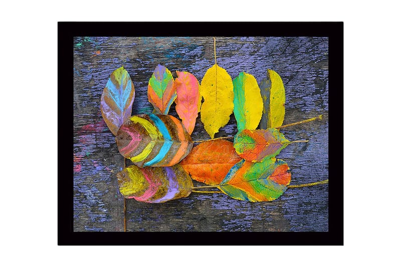 Inramad Canvastavla i trä - 41x56 cm - Färgglada löv arrangerade på en mörk bakgrund, Gul / Lila / Grön