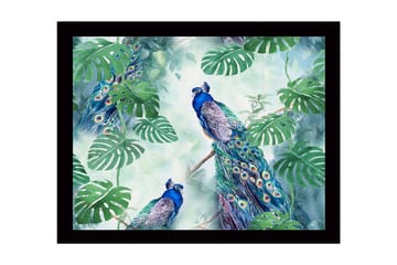 Inramad Canvastavla i trä - 41x56 cm - Färgglada påfåglar omgivna av tropiska växter - Grön / Blå / Turkos - Inredning - Tavlor & posters - Canvastavla