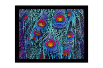 Inramad Canvastavla i trä - 41x56 cm - Färgglada påfågelsfjädrar i en abstrakt komposition - Turkos / Lila / Guld - Inredning - Tavlor & posters - Canvastavla