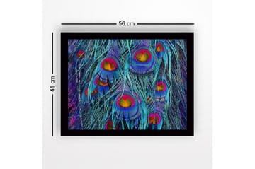 Inramad Canvastavla i trä - 41x56 cm - Färgglada påfågelsfjädrar i en abstrakt komposition - Turkos / Lila / Guld - Inredning - Tavlor & posters - Canvastavla