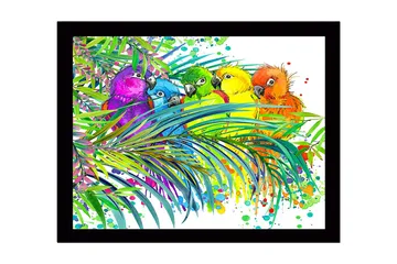 Inramad Canvastavla i trä - 41x56 cm - Färgglada papegojor omgivna av tropiska växter - Grön / Blå / Gul - Inredning - Tavlor & posters - Canvastavla