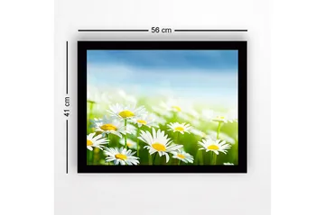 Inramad Canvastavla i trä - 41x56 cm - Färgrik äng med prästkragar i blomning - Vit / Gul / Grön - Inredning - Tavlor & posters - Canvastavla