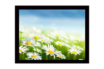 Inramad Canvastavla i trä - 41x56 cm - Färgrik äng med prästkragar i blomning - Vit / Gul / Grön - Inredning - Tavlor & posters - Canvastavla