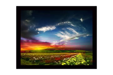 Inramad Canvastavla i trä - 41x56 cm - Färgrik blomsteräng under en dramatisk solnedgång - Röd / Gul / Grön - Inredning - Tavlor & posters - Canvastavla