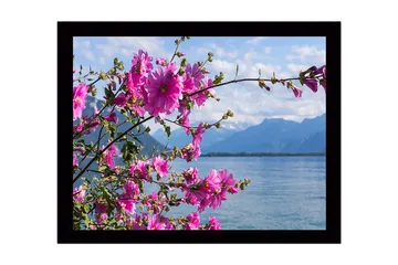 Inramad Canvastavla i trä - 41x56 cm - Färgrik bukett av blommor vid en sjö med berg i bakgrunden - Rosa / Grön - Inredning - Tavlor & posters - Canvastavla