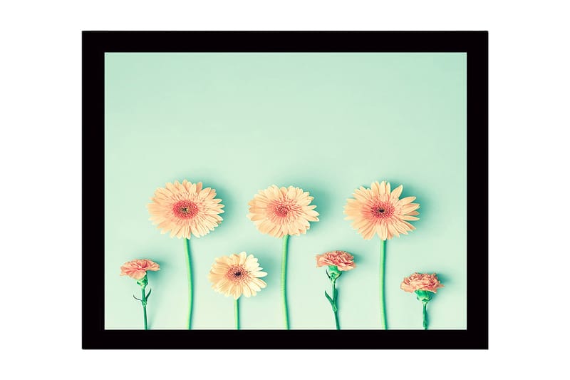 Inramad Canvastavla i trä - 41x56 cm - Färgrik rad av blommor med gerbera och nejlika - Ljusorange / Grön / Mintgrön - Inredning - Tavlor & posters - Canvastavla