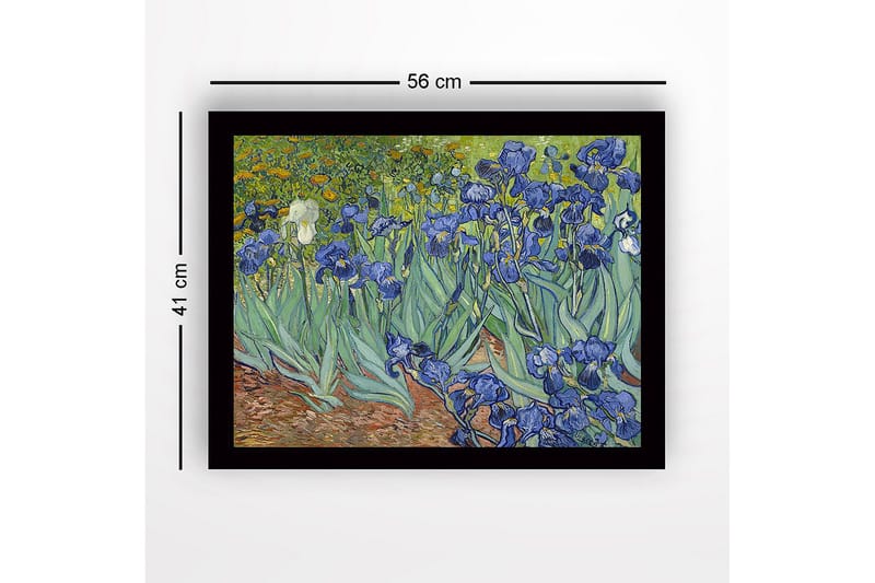 Inramad Canvastavla i trä - 41x56 cm - Färgrik samling av irisblommor - Blå / Grön / Brun - Inredning - Tavlor & posters - Canvastavla