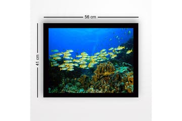 Inramad Canvastavla i trä - 41x56 cm - Flock av färgglada fiskar simmande i ett korallrev - Blå / Gul / Grön - Inredning - Tavlor & posters - Canvastavla