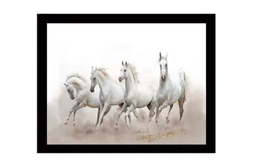 Inramad Canvastavla i trä - 41x56 cm - Fyrtal vita hästar i rörelse - Vit / Ljusgrå - Inredning - Tavlor & posters - Canvastavla