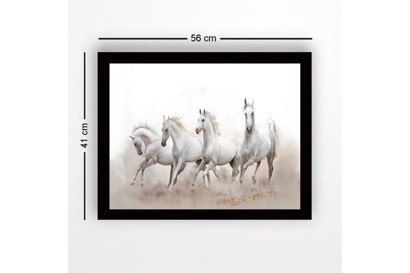 Inramad Canvastavla i trä - 41x56 cm - Fyrtal vita hästar i rörelse - Vit / Ljusgrå - Inredning - Tavlor & posters - Canvastavla