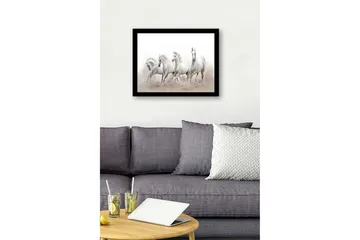Inramad Canvastavla i trä - 41x56 cm - Fyrtal vita hästar i rörelse - Vit / Ljusgrå - Inredning - Tavlor & posters - Canvastavla