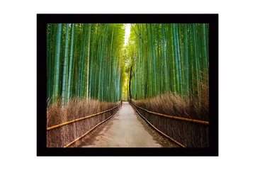 Inramad Canvastavla i trä - 41x56 cm - Grön bambuskog med en stig som leder genom träden - Grön / Brun - Inredning - Tavlor & posters - Canvastavla