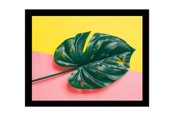 Inramad Canvastavla i trä - 41x56 cm - Grön monstera-blad mot en färgglad bakgrund - Grön / Gul / Rosa - Inredning - Tavlor & posters - Canvastavla