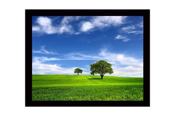 Inramad Canvastavla i trä - 41x56 cm - Grönskande landskap med två träd under en blå himmel - Grön / Blå - Inredning - Tavlor & posters - Canvastavla