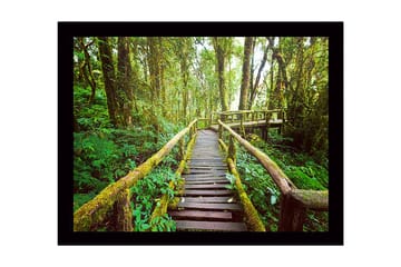 Inramad Canvastavla i trä - 41x56 cm - Grönskande skogsstig med träbroar - Grön / Brun / Gulgrön - Inredning - Tavlor & posters - Canvastavla