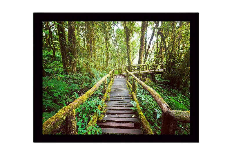 Inramad Canvastavla i trä - 41x56 cm - Grönskande skogsstig med träbroar, Grön / Brun / Gulgrön