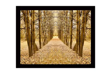 Inramad Canvastavla i trä - 41x56 cm - Gyllene allé av träd i höstskrud - Guld / Brun / Beige - Inredning - Tavlor & posters - Canvastavla