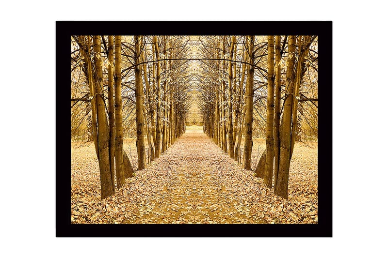 Inramad Canvastavla i trä - 41x56 cm - Gyllene allé av träd i höstskrud, Guld / Brun / Beige