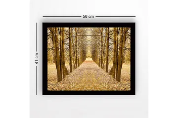 Inramad Canvastavla i trä - 41x56 cm - Gyllene allé av träd i höstskrud - Guld / Brun / Beige - Inredning - Tavlor & posters - Canvastavla
