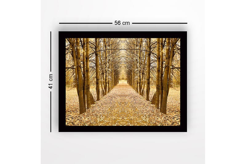 Inramad Canvastavla i trä - 41x56 cm - Gyllene allé av träd i höstskrud - Guld / Brun / Beige - Inredning - Tavlor & posters - Canvastavla