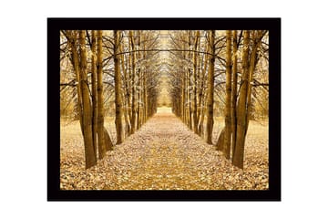 Inramad Canvastavla i trä - 41x56 cm - Gyllene allé av träd i höstskrud - Guld / Brun / Beige - Inredning - Tavlor & posters - Canvastavla