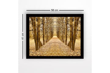 Inramad Canvastavla i trä - 41x56 cm - Gyllene allé av träd i höstskrud - Guld / Brun / Beige - Inredning - Tavlor & posters - Canvastavla