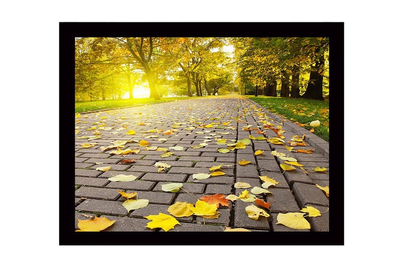 Inramad Canvastavla i trä - 41x56 cm - Gyllene höstlöv på en stenlagd väg, Gult / Orange / Brunt
