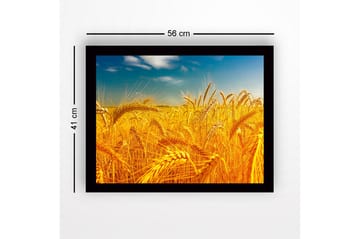 Inramad Canvastavla i trä - 41x56 cm - Gyllene vetefält under en klar himmel - Guld / Blå / Grön - Inredning - Tavlor & posters - Canvastavla