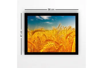 Inramad Canvastavla i trä - 41x56 cm - Gyllene vetefält under en klar himmel - Guld / Blå / Grön - Inredning - Tavlor & posters - Canvastavla