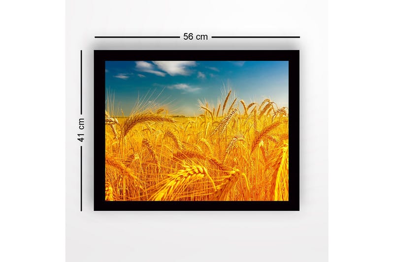 Inramad Canvastavla i trä - 41x56 cm - Gyllene vetefält under en klar himmel - Guld / Blå / Grön - Inredning - Tavlor & posters - Canvastavla