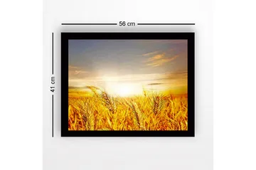Inramad Canvastavla i trä - 41x56 cm - Gyllene vetefält under en soluppgång - Guld / Orange / Ljusblå - Inredning - Tavlor & posters - Canvastavla