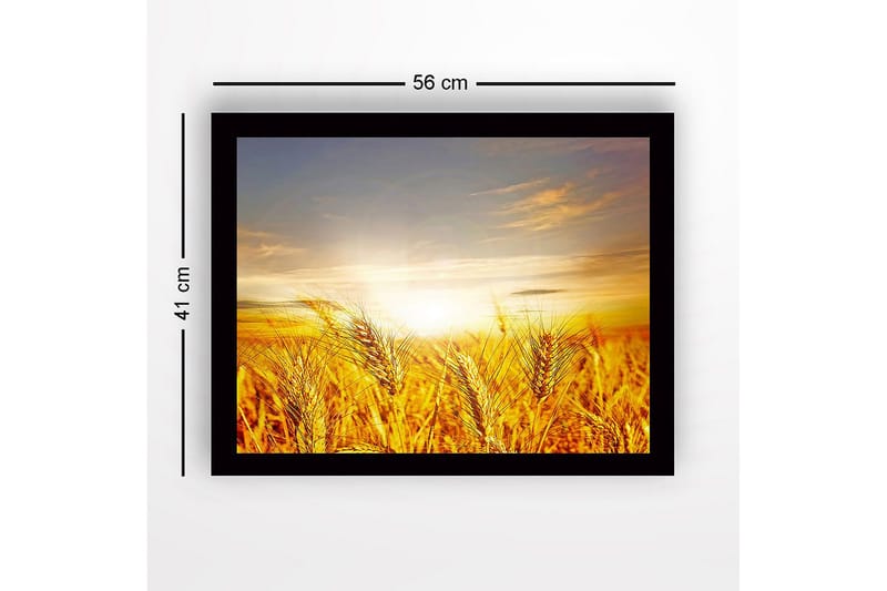 Inramad Canvastavla i trä - 41x56 cm - Gyllene vetefält under en soluppgång - Guld / Orange / Ljusblå - Inredning - Tavlor & posters - Canvastavla