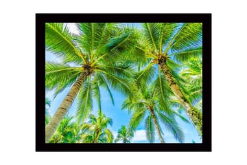 Inramad Canvastavla i trä - 41x56 cm - Höga palmer mot en klarblå himmel - Grön / Blå - Inredning - Tavlor & posters - Canvastavla