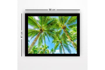 Inramad Canvastavla i trä - 41x56 cm - Höga palmer mot en klarblå himmel - Grön / Blå - Inredning - Tavlor & posters - Canvastavla