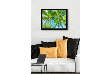 Inramad Canvastavla i trä - 41x56 cm - Höga palmer mot en klarblå himmel - Grön / Blå - Inredning - Tavlor & posters - Canvastavla