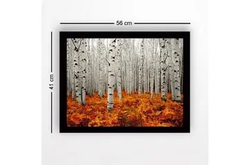 Inramad Canvastavla i trä - 41x56 cm - Höstlig skog med björkar och gyllene ormbunkar - Vit / Orange - Inredning - Tavlor & posters - Canvastavla