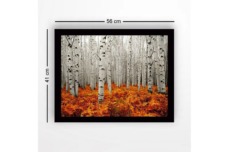 Inramad Canvastavla i trä - 41x56 cm - Höstlig skog med björkar och gyllene ormbunkar - Vit / Orange - Inredning - Tavlor & posters - Canvastavla