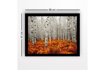 Inramad Canvastavla i trä - 41x56 cm - Höstlig skog med björkar och gyllene ormbunkar - Vit / Orange - Inredning - Tavlor & posters - Canvastavla