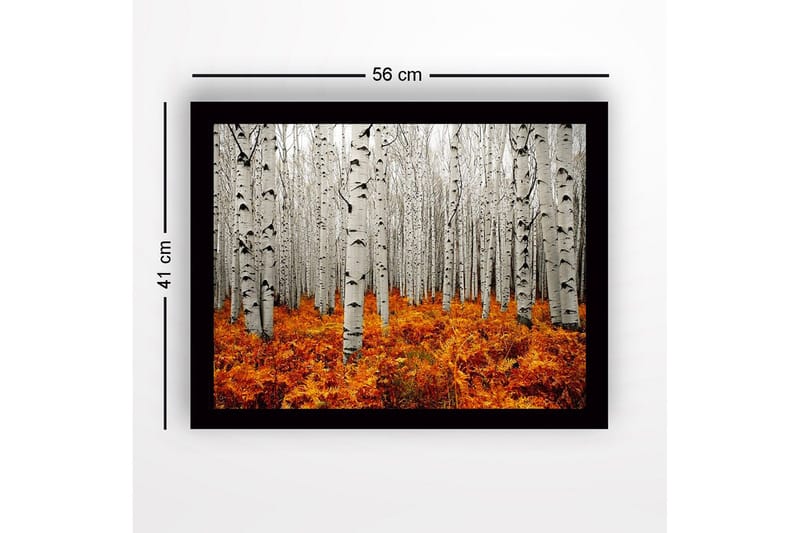 Inramad Canvastavla i trä - 41x56 cm - Höstlig skog med björkar och gyllene ormbunkar - Vit / Orange - Inredning - Tavlor & posters - Canvastavla