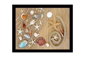 Inramad Canvastavla i trä - 41x56 cm - Havsinspirerad samling av snäckor och sjöstjärnor - Beige / Vit / Blå - Inredning - Tavlor & posters - Canvastavla