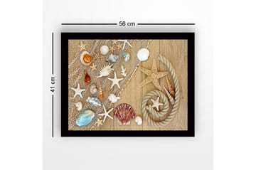 Inramad Canvastavla i trä - 41x56 cm - Havsinspirerad samling av snäckor och sjöstjärnor - Beige / Vit / Blå - Inredning - Tavlor & posters - Canvastavla